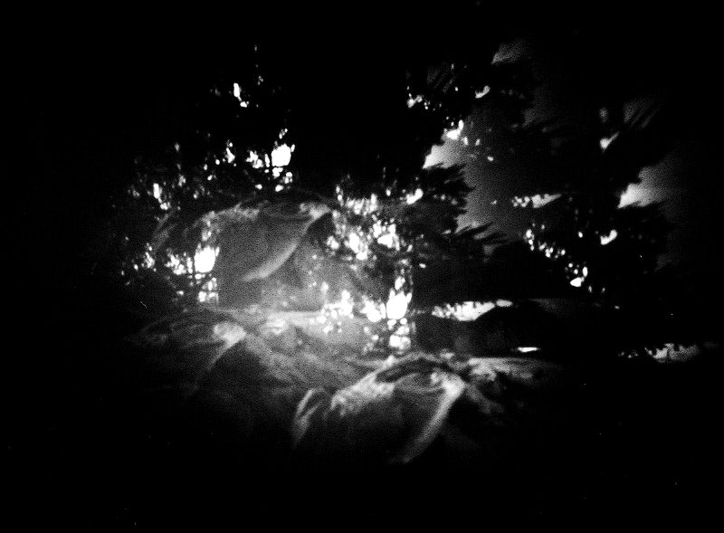 
Pod smrkem - Pinhole